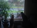 Profile picture for user Connie